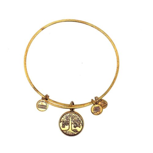 Alex and Ani Tree Bracelet - Image 2