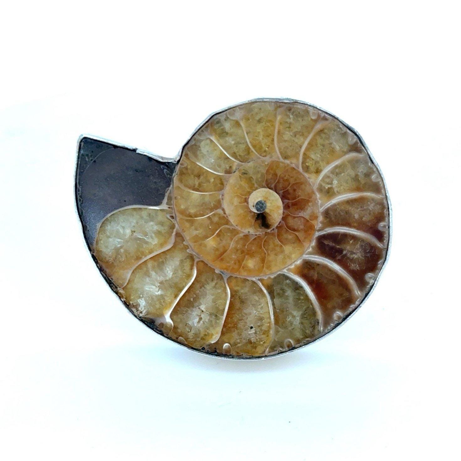 950 Silver Coiled Shell Ring