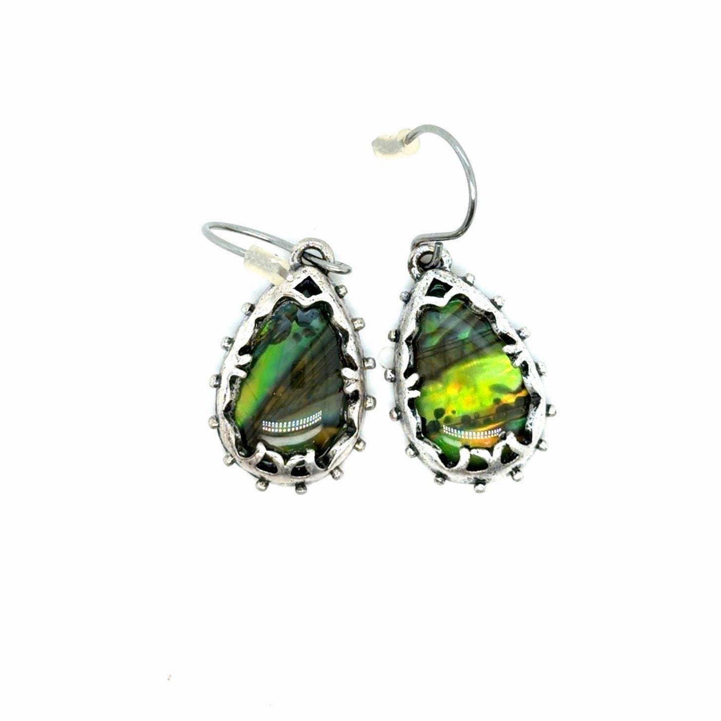 Abalone Colored Earrrings